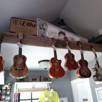 Ukulele Station America ico