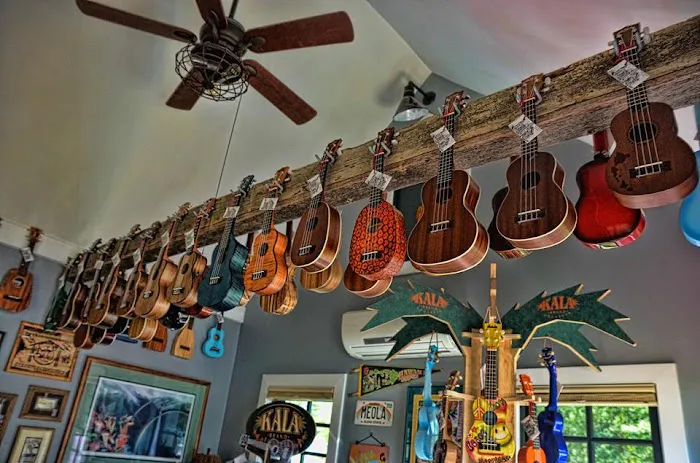 Ukulele Station America 5