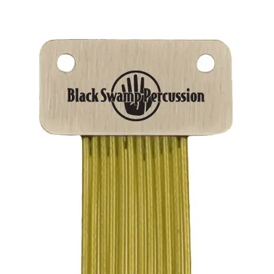 Black Swamp Percussion 4