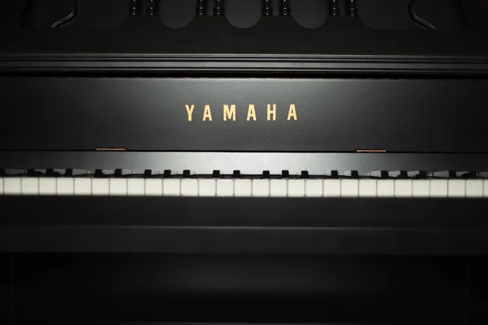 Herrema & Sons Piano Co. 5