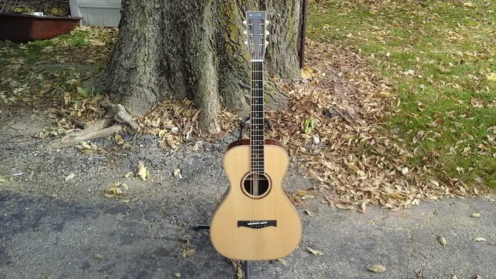 McKee Guitars 4