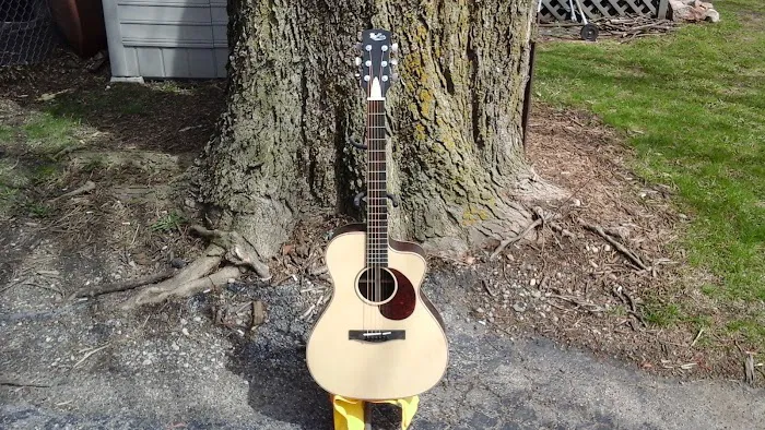 McKee Guitars 4
