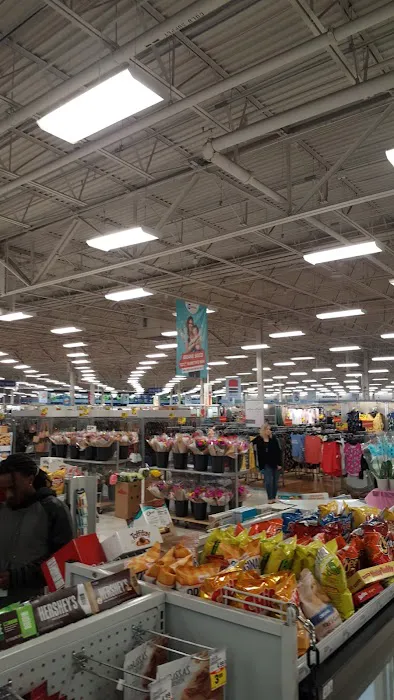 Meijer 3