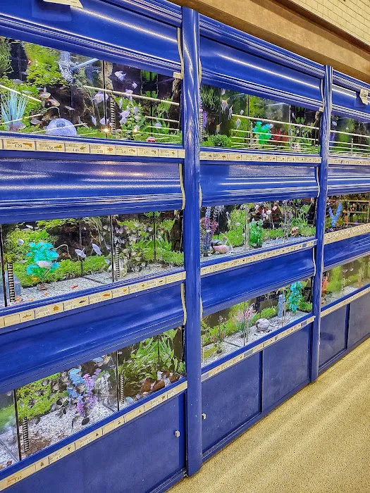 Meijer 3