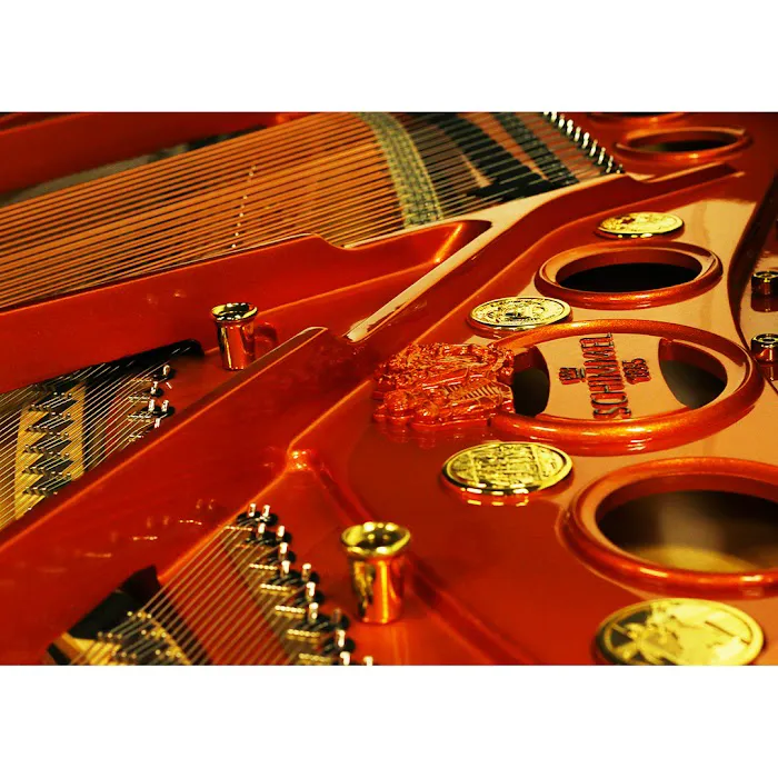 PianoNation Grand Rapids 4