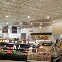 Meijer ico