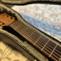 Pete's Guitar Service ico