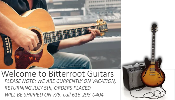 Bitterroot Guitars 4
