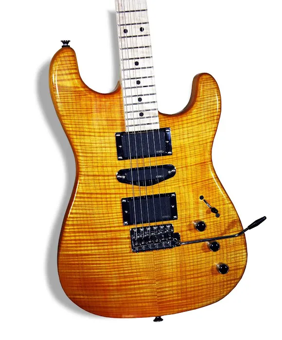 Bitterroot Guitars 4