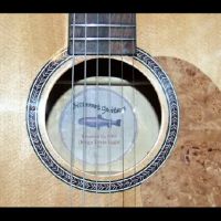 Bitterroot Guitars ico