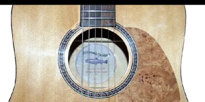 Bitterroot Guitars