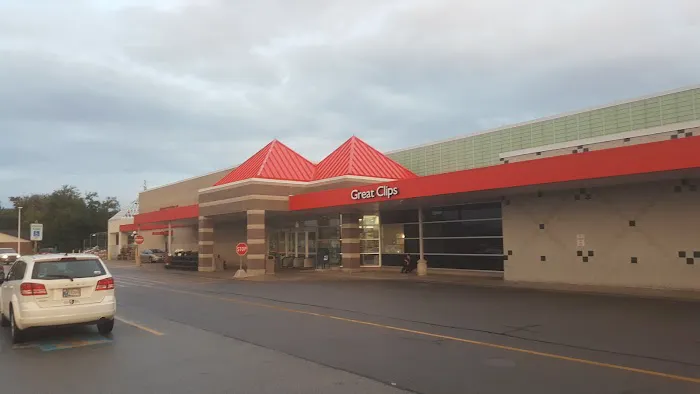 Meijer 5