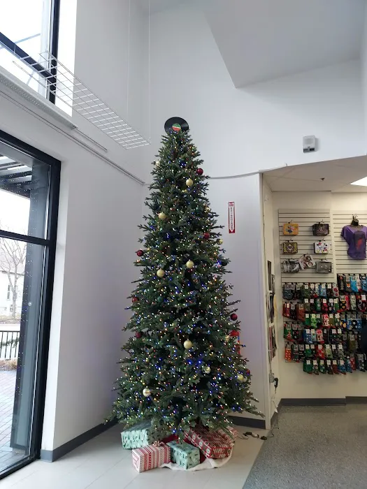 Dearborn Music - Farmington 4
