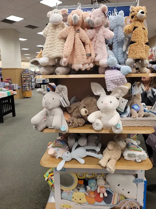 Barnes & Noble 5