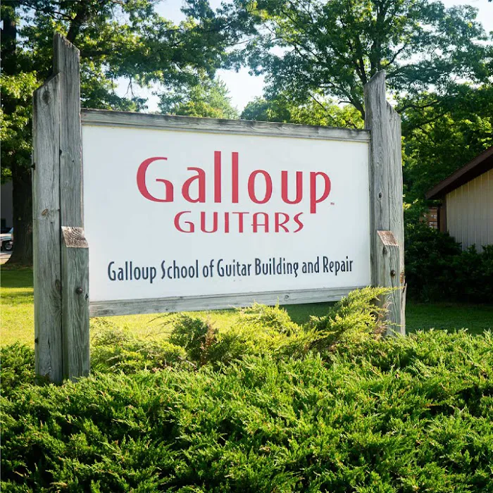 Galloup Guitars 4