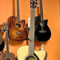 Delaware Music Center & Academy ico