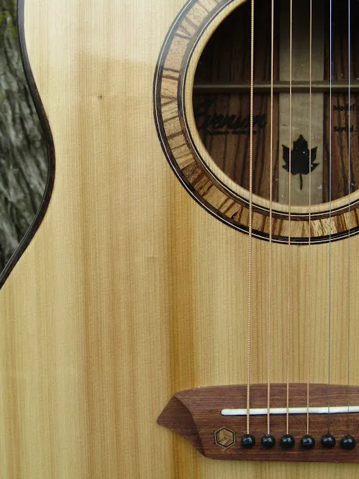 Evenson Custom Guitars 1