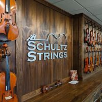 Schultz Strings ico