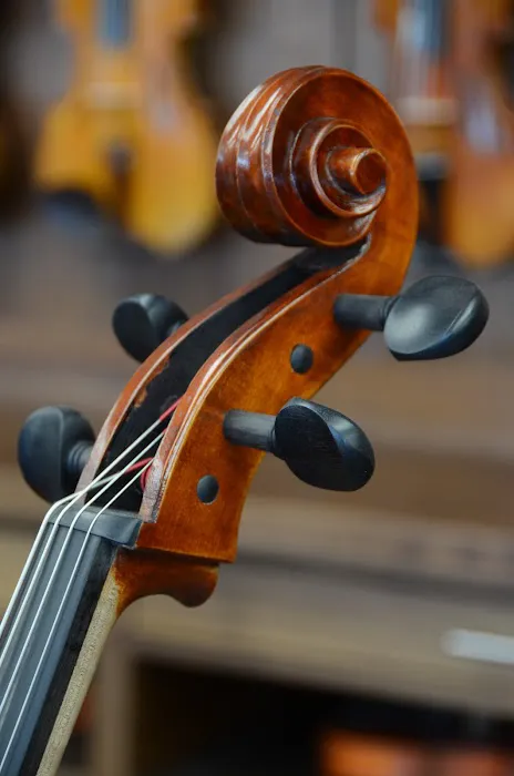 Schultz Strings 4