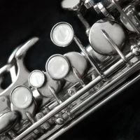 Bruce Western Woodwinds ico