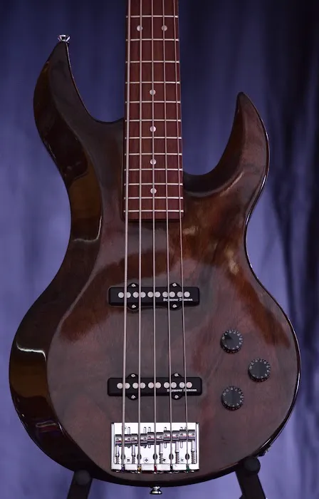 Ben Robinson Guitars 4