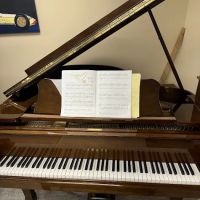 Piano Warehouse of Indianapolis ico