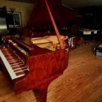 Winter & Sons Piano Co ico