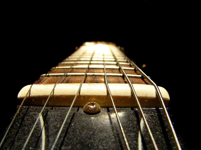 Saline Guitar Factory 4