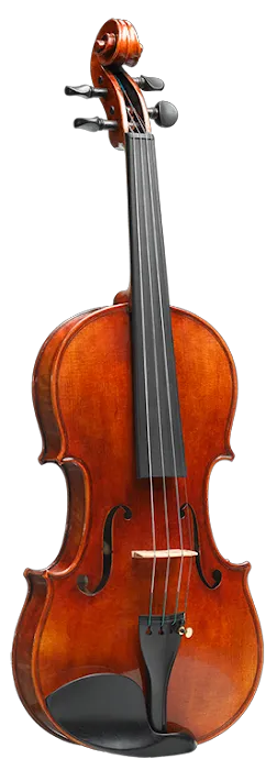Detroit Violin Company (Waterford) 4