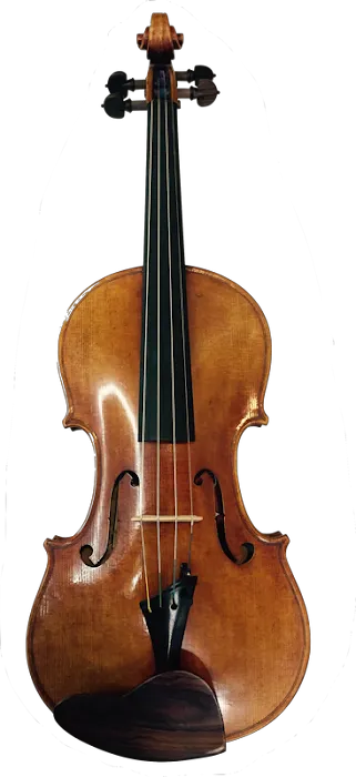 Detroit Violin Company (Waterford) 4