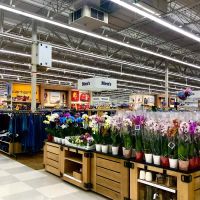 Meijer ico