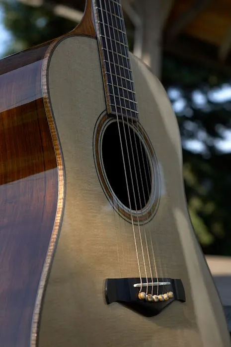 Robinson Guitars 4
