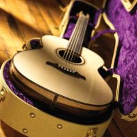 Robinson Guitars ico