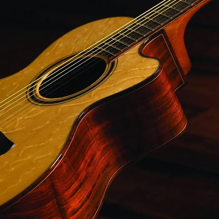 Robinson Guitars 4