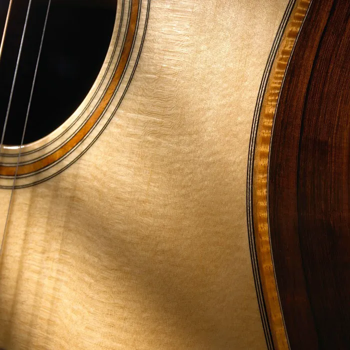 Robinson Guitars 4