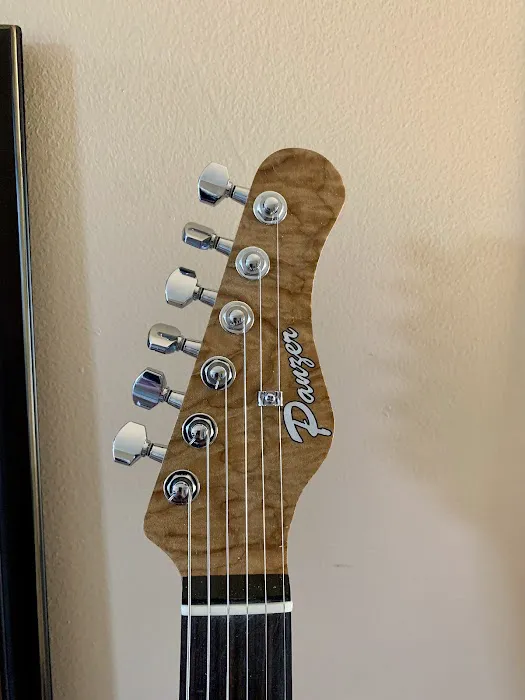 Panzer Guitars 5
