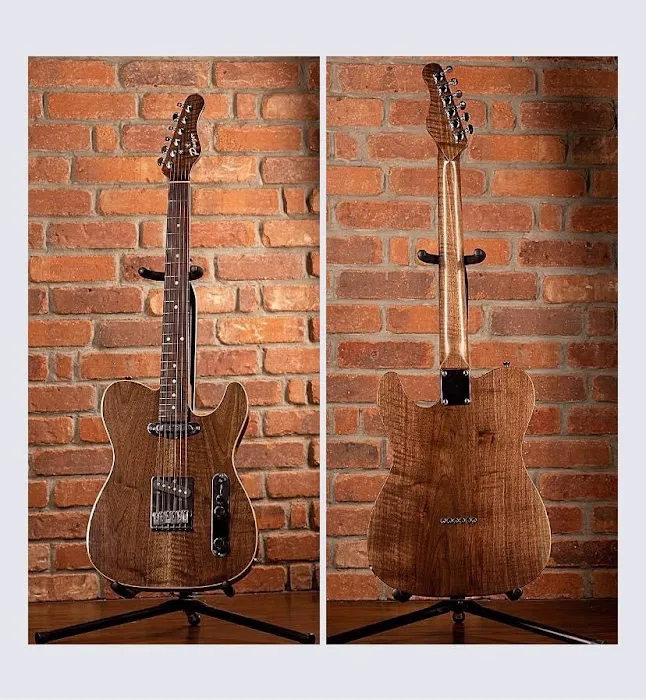 Panzer Guitars 5