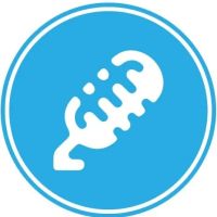 TR Music & Voice Lessons ico