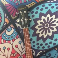 Payne's Guitar Service and Setups ico