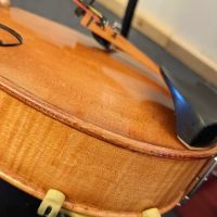 Side Door Strings ico