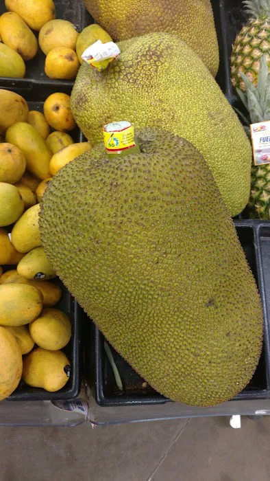 Meijer 4