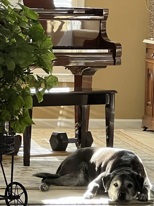 Hohman Piano & Clock Services, LLC 4