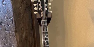 The Mandolin Store