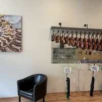 Classic Violins, Woodwind and Brass ico