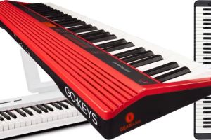 Best Portable Piano Keyboards for Musicians on the Go