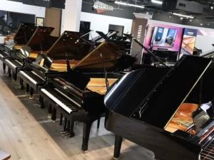 Best Music Stores to Buy Pianos Near Me in the US
