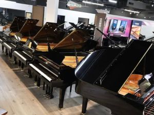 Discover the Best Music Stores for Buying Pianos Near Me – Expert Tips and Local Recommendations