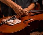 How to Choose the Right Musical Instrument: A Comprehensive Guide