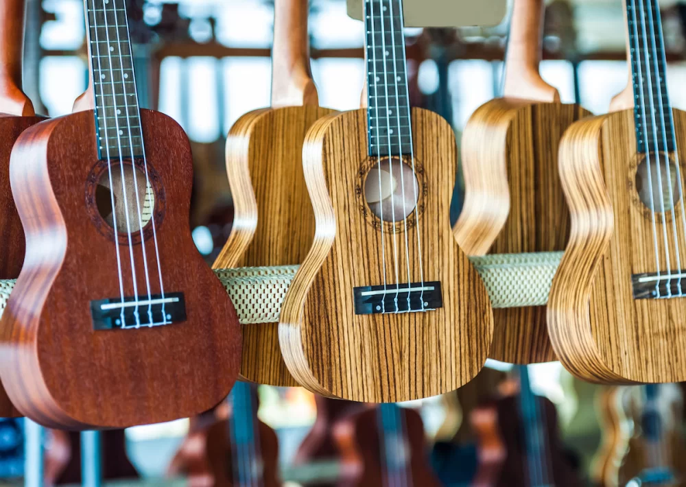Discover the Best Places to Buy Musical Instruments Online for Every Musician