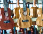 Discover the Best Places to Buy Musical Instruments Online for Every Musician
